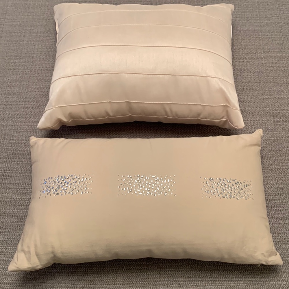 Set of 2 Decorative Throw Pillows - Accent Pillows